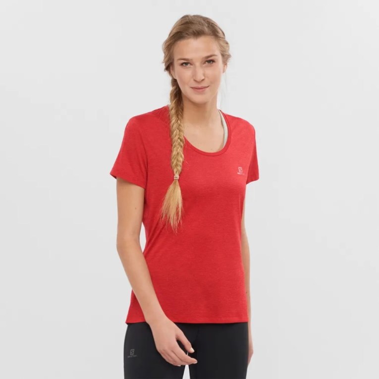 Camiseta Salomon Agile Curta Sleeve Feminino Vermelhas | PT B41728